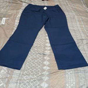 Brand NEW - New York & Company pants